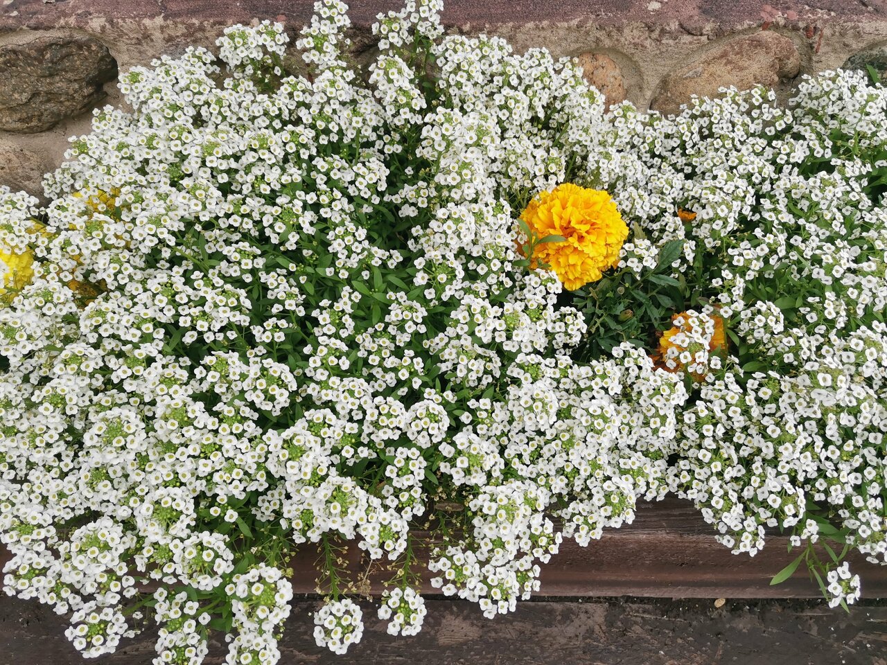 Гостиница Даурия Листвянка-99