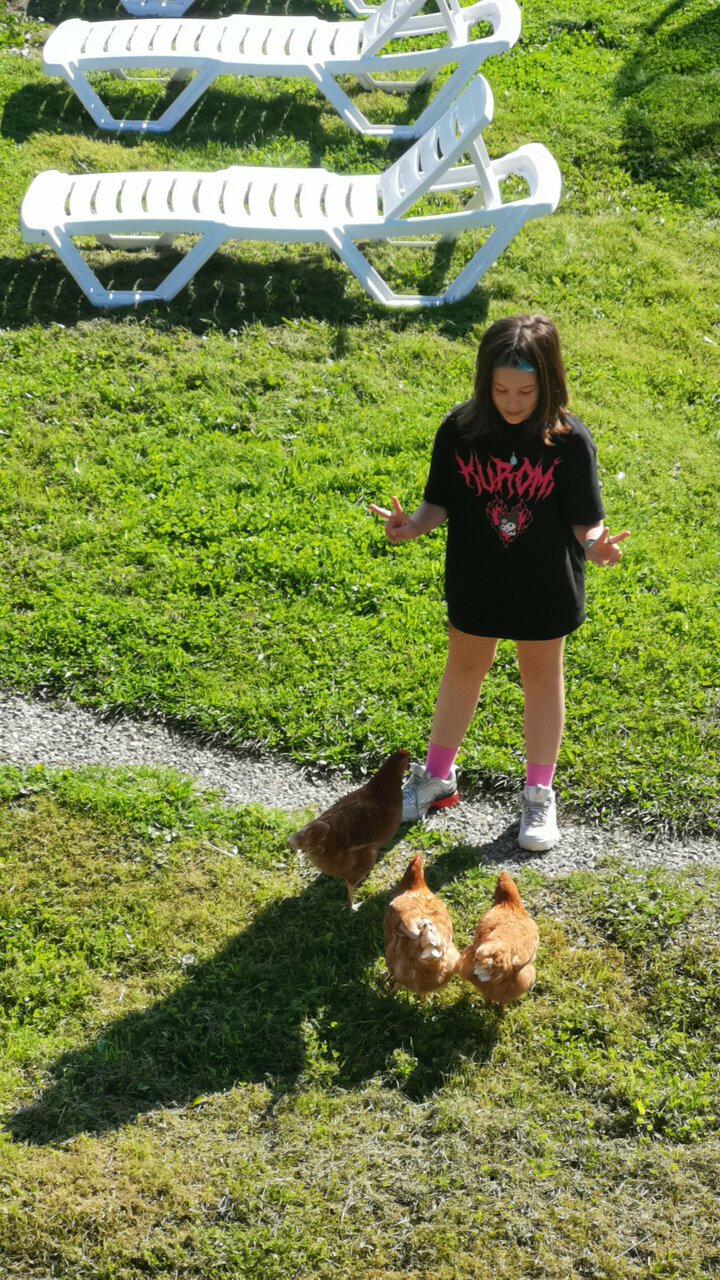 Гостиница Даурия Листвянка-119