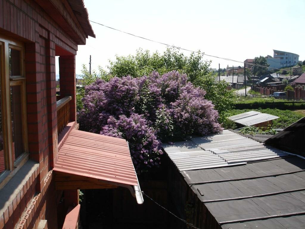 Гостиница Даурия Листвянка-17