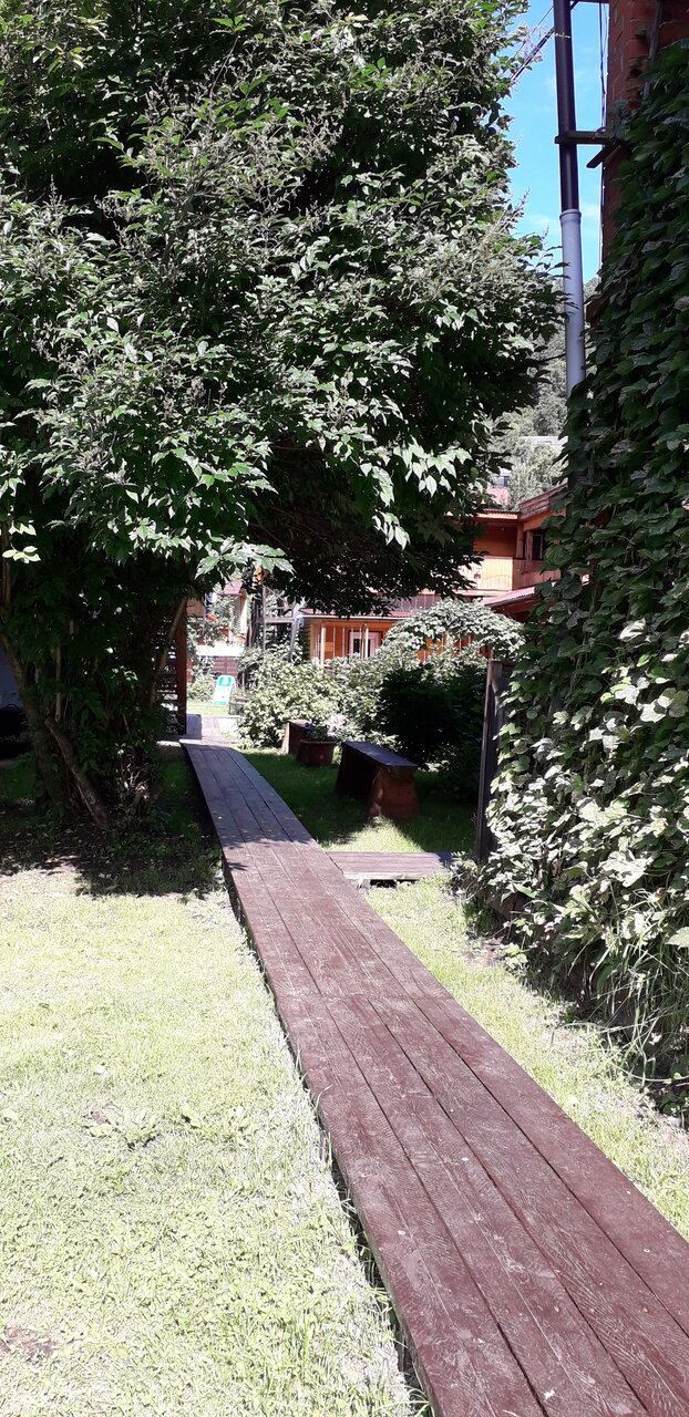 Гостиница Даурия Листвянка-153