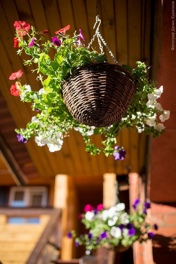 Гостиница Даурия Листвянка-6