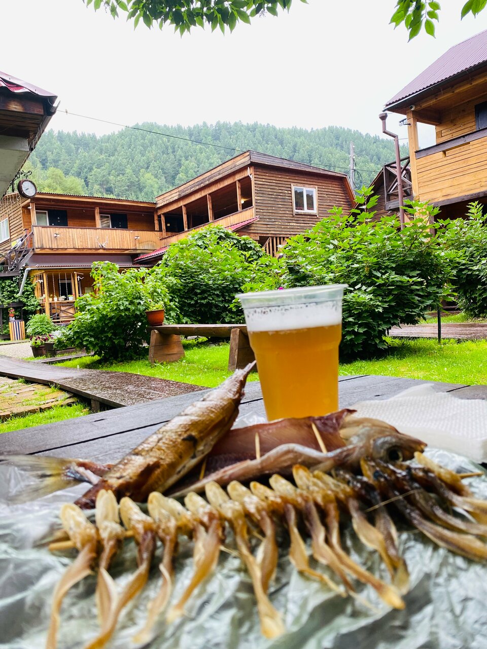 Гостиница Даурия Листвянка-59