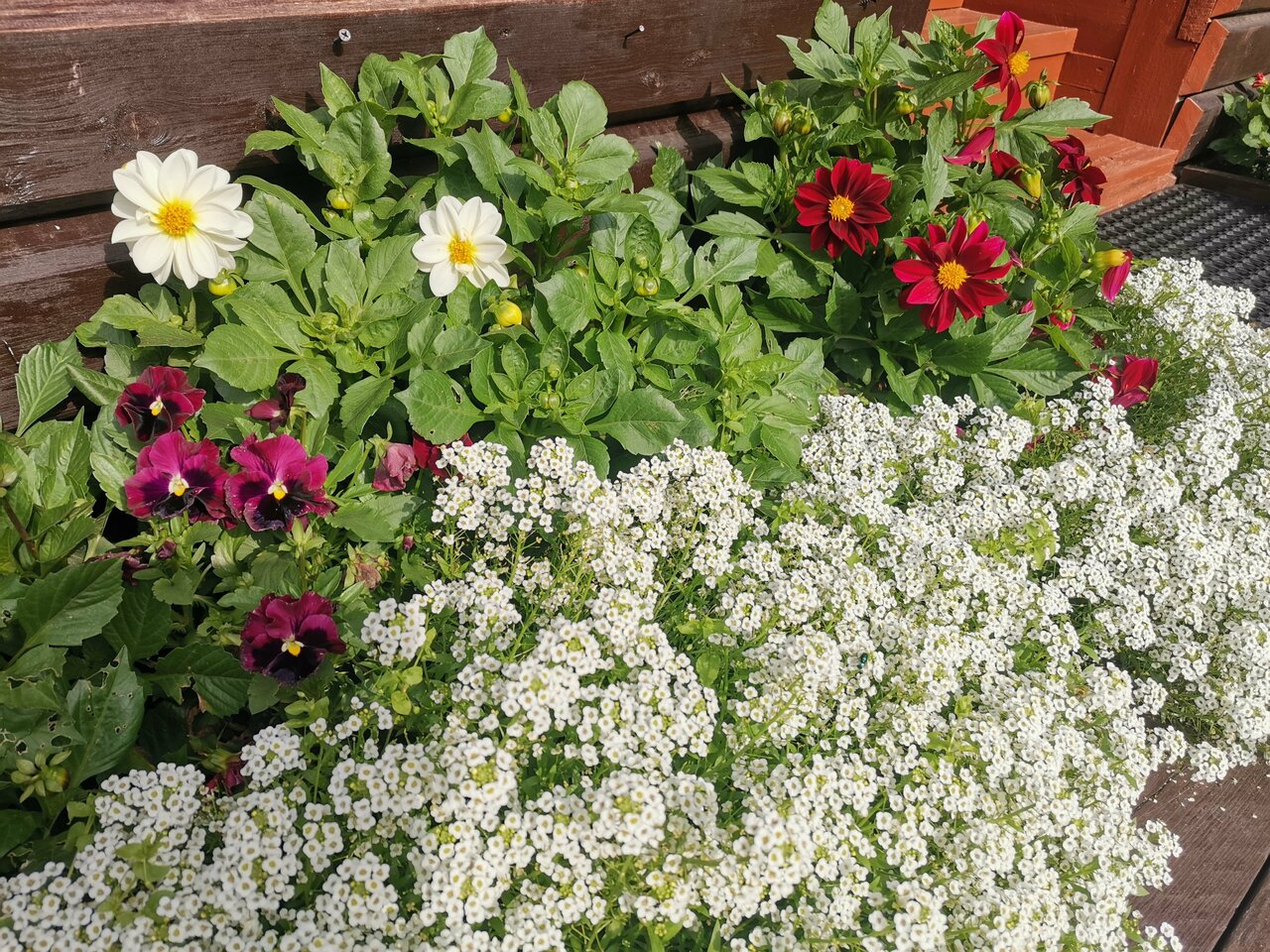 Гостиница Даурия Листвянка-155