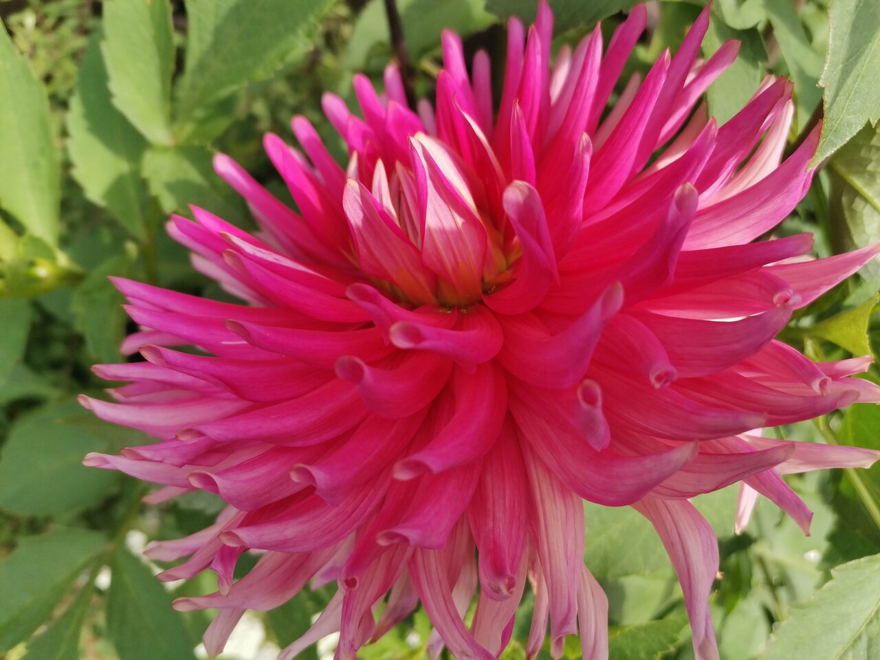 Гостиница Даурия Листвянка-85