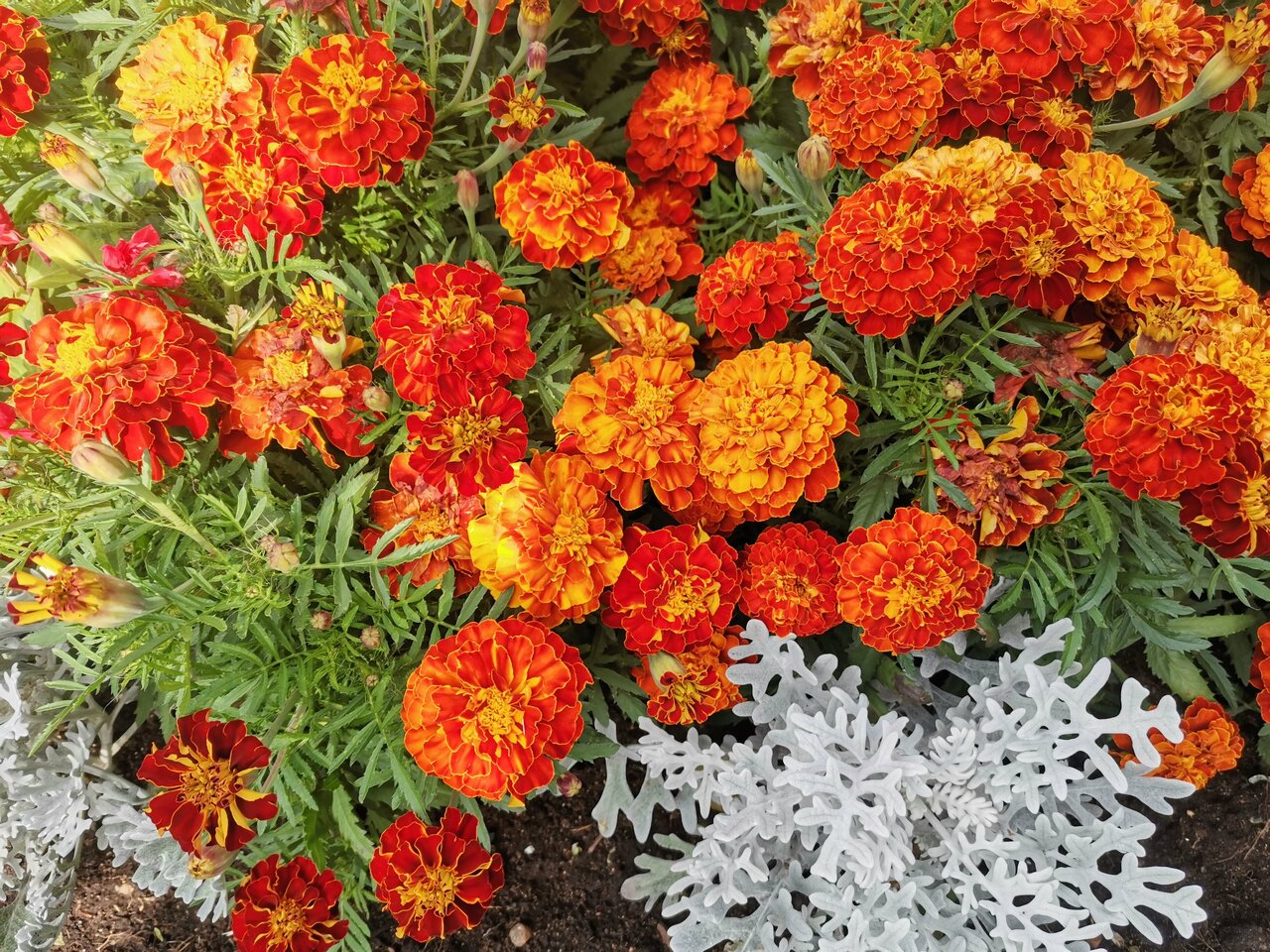 Гостиница Даурия Листвянка-70