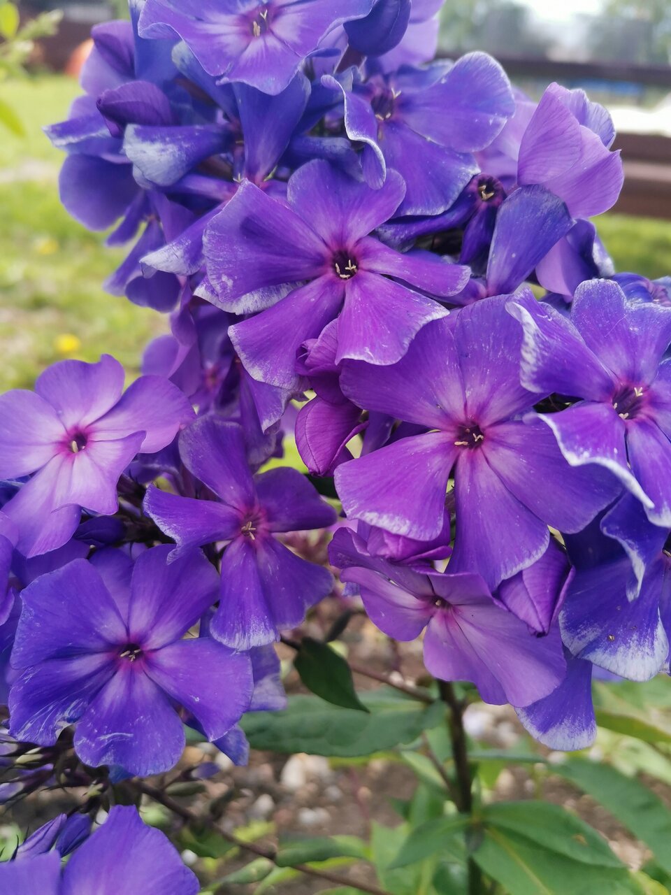 Гостиница Даурия Листвянка-66