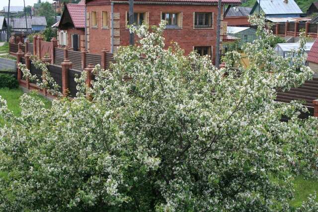 Гостиница Даурия Листвянка-10