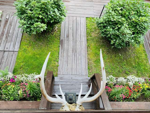 Гостиница Даурия Листвянка-70