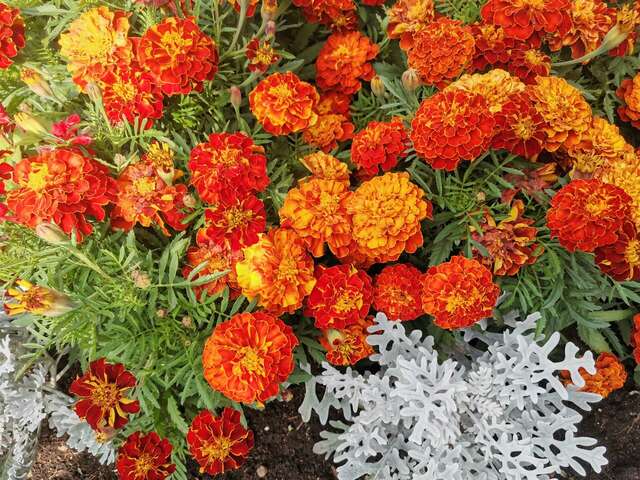 Гостиница Даурия Листвянка-69